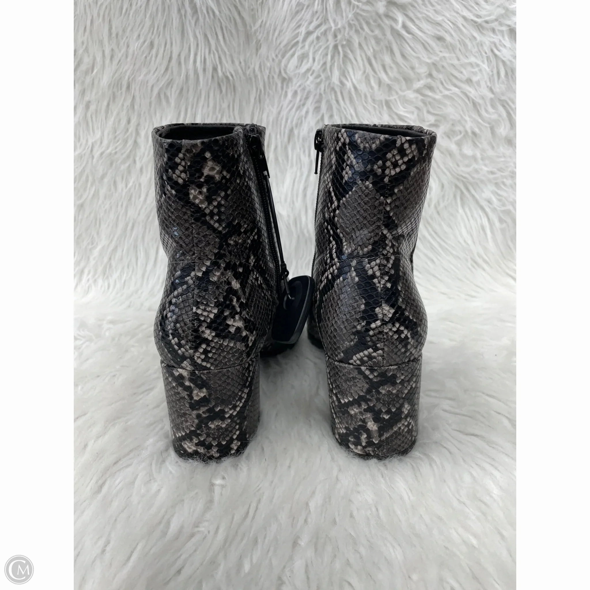 Boots Ankle Heels By Madden Girl In Snakeskin Print, Size: 10 Kids Hunter Boots