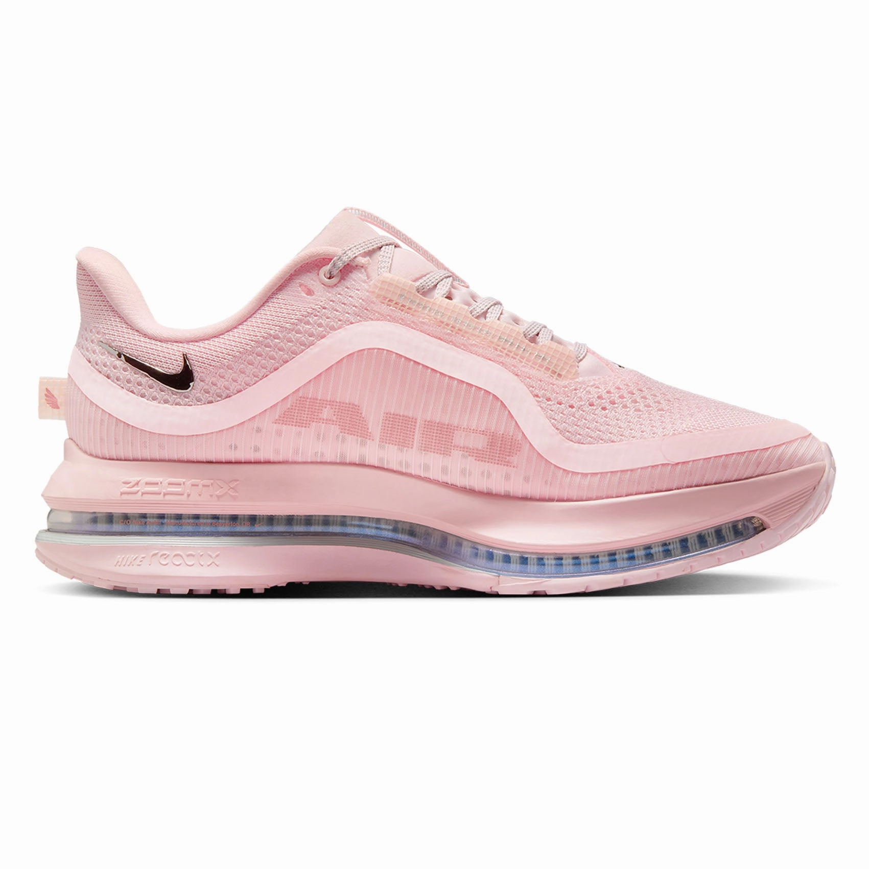 Nike Cheer Shoe Womens Nike Pegasus Premium