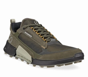 National Geographic Hiking Shoes ECCO Men's BIOM 2.1 Mountain Waterproof Sneaker - Grape Leaf/Tarmac/Black