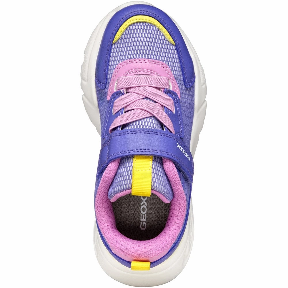 Geox J Loftus Girl Junior Sneakers Nordstorm Sneakers