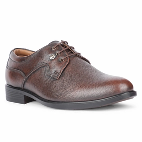 Healers Formal Brown Lacing Derby Shoes For Men S201-05 By Liberty Canvas Lace Up Shoes
