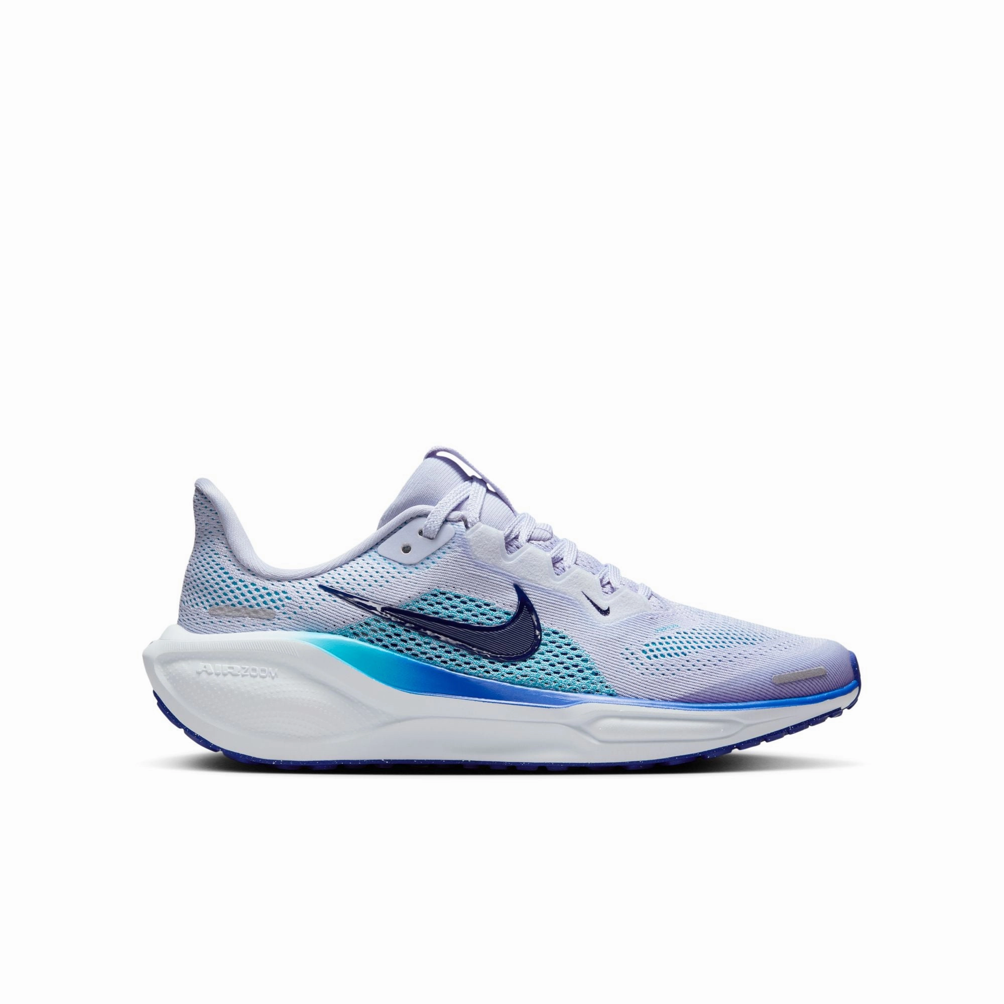 Basketball Shoes Affordable Boy's Nike Youth Pegasus 41