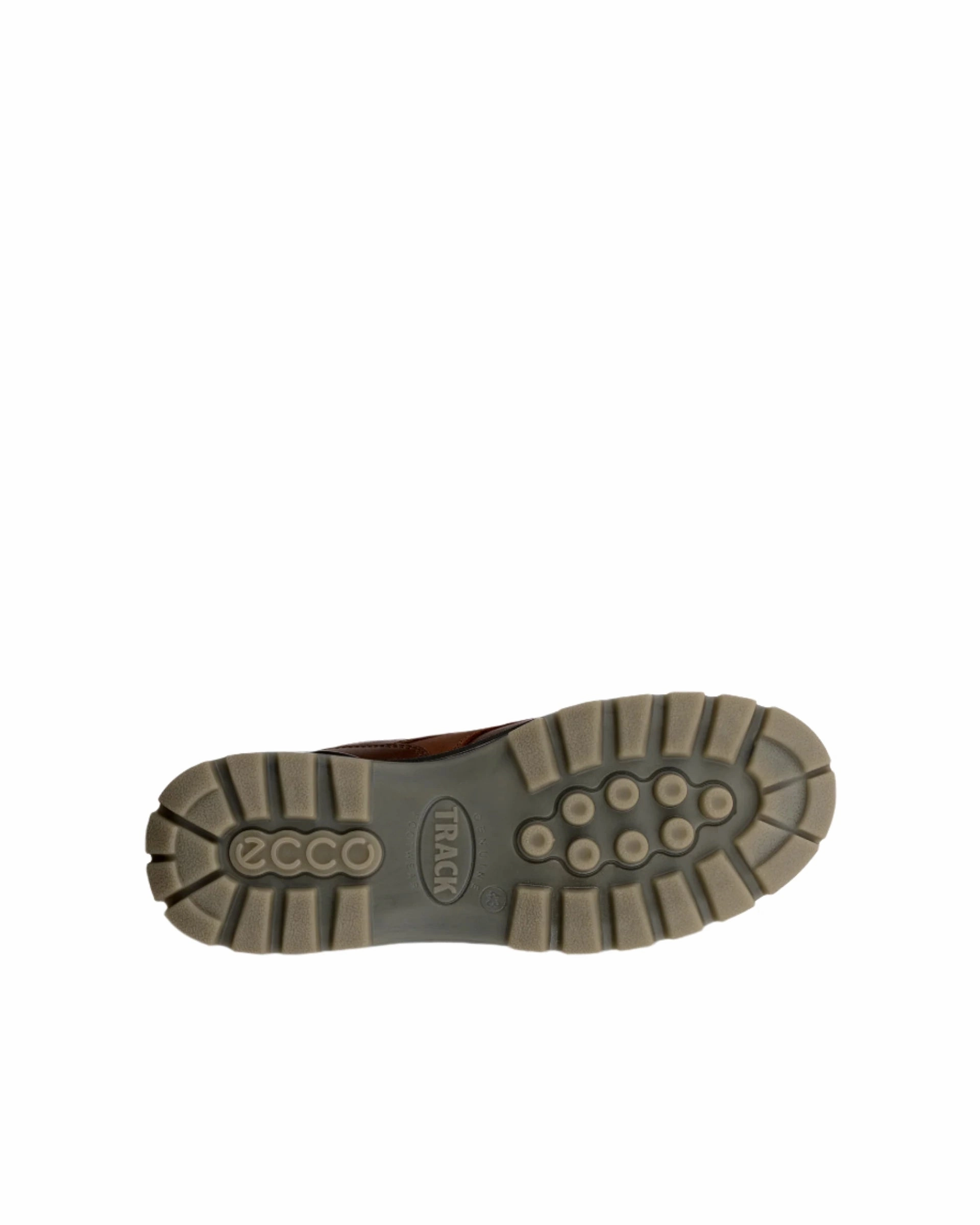 ECCO Men's Track 25 Low GORE-TEX Waterproof - Bison (PFAS Free) Hiking Shoes Pakistan