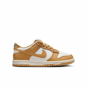 Boys'/Girls' Nike Youth Dunk Low Sneakers Under $50