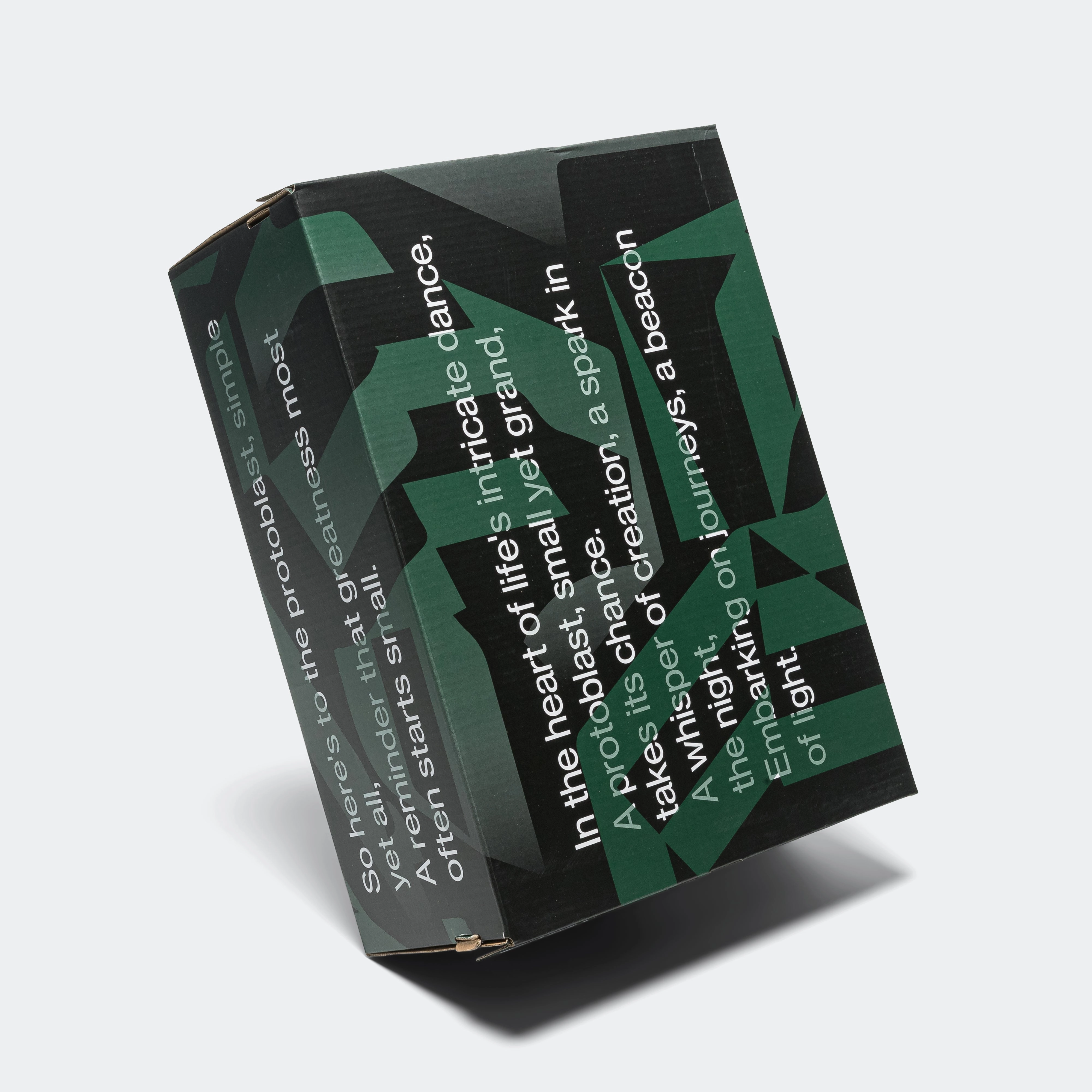 Asics Gel Kayano 25 Running Shoes Protoblast-CMLVIII x OTTO958 - Otto Green/Black