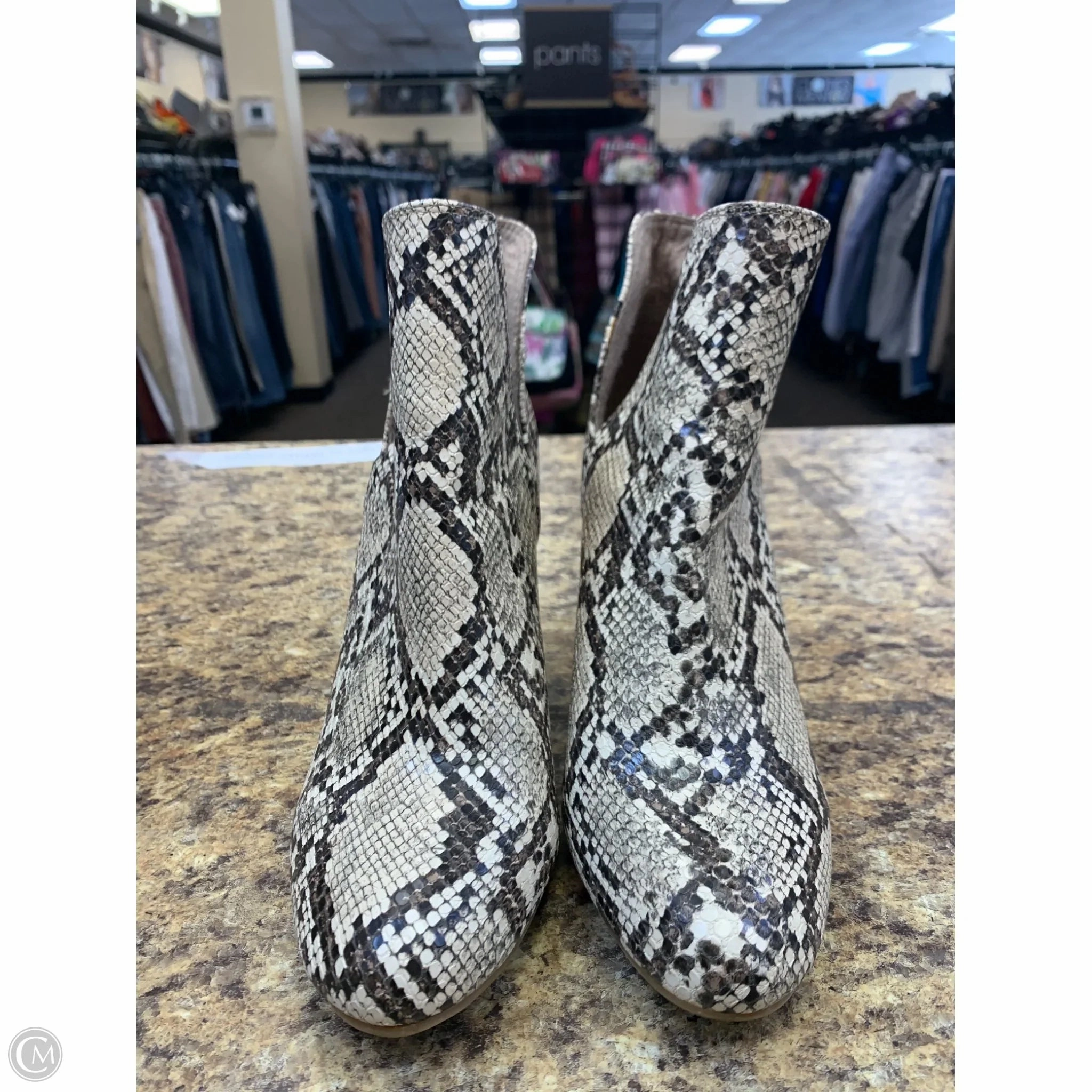 Boots Steel Toe Boots Ankle Heels By Madden Girl In Snakeskin Print, Size: 7.5