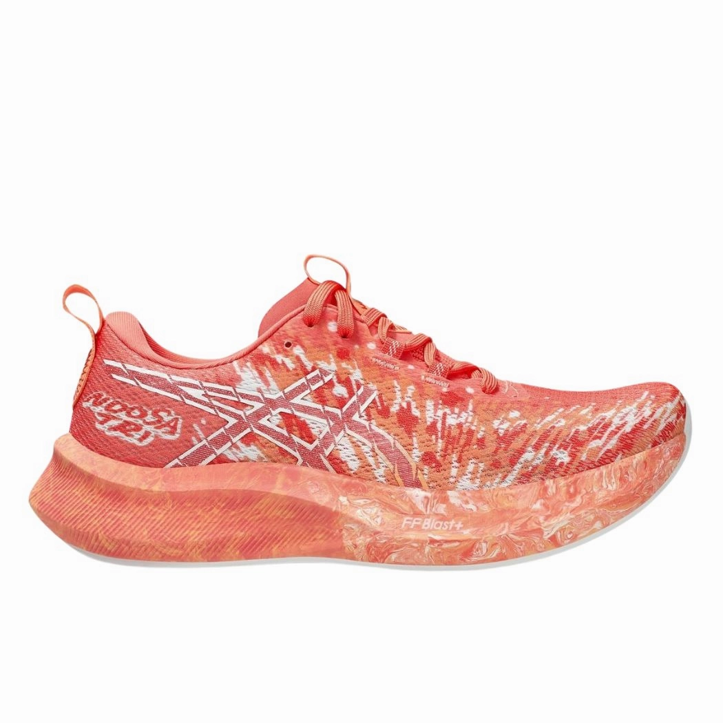 asics Noosa Tri-16 Women's Running Shoe Asics Shoes For Beginners