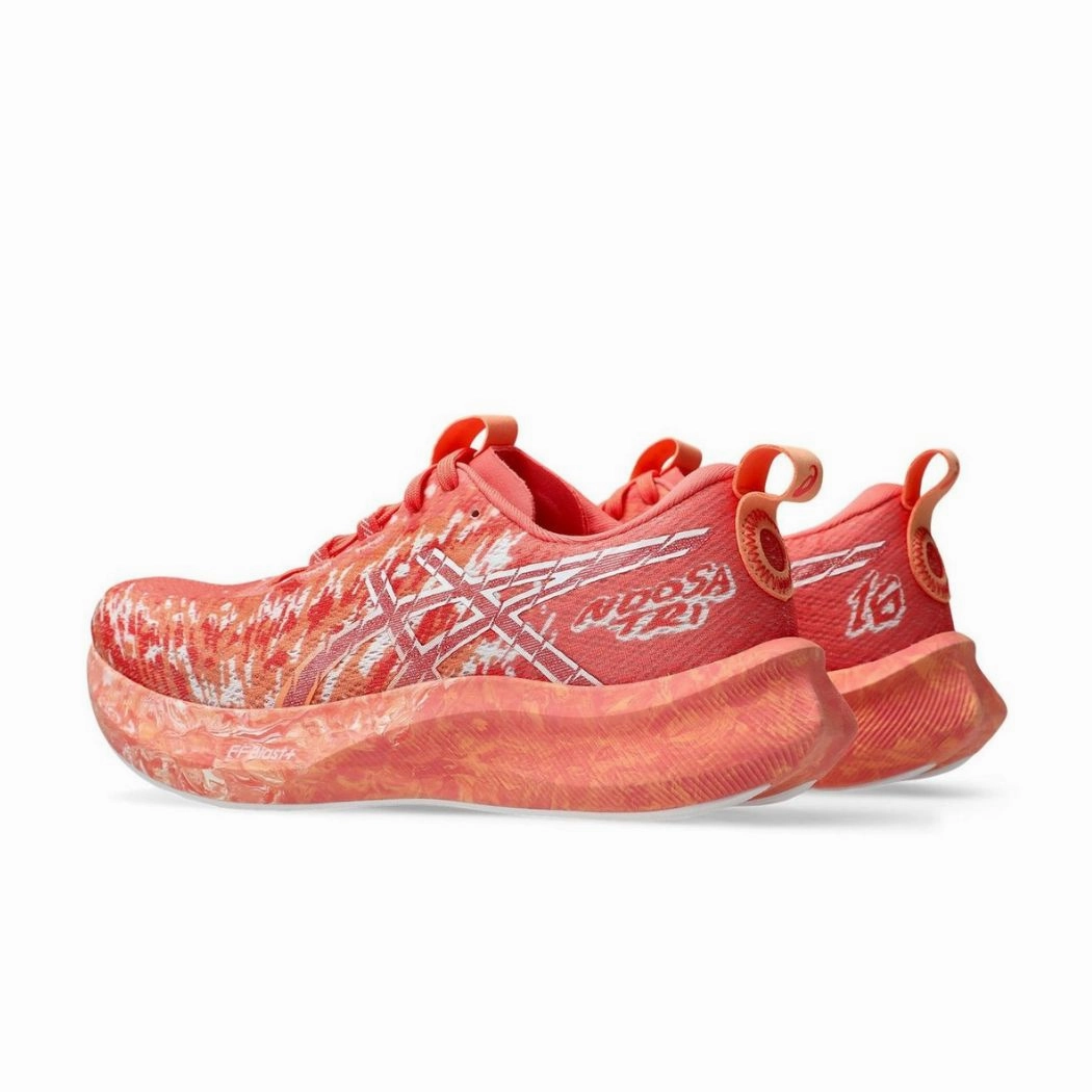 asics Noosa Tri-16 Women's Running Shoe Berrettini Asics Shoes