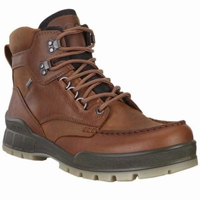 Best Hiking Shoes For Bad Ankles Ecco Men's Track 25 High GORE-TEX Waterproof Boot - Bison
