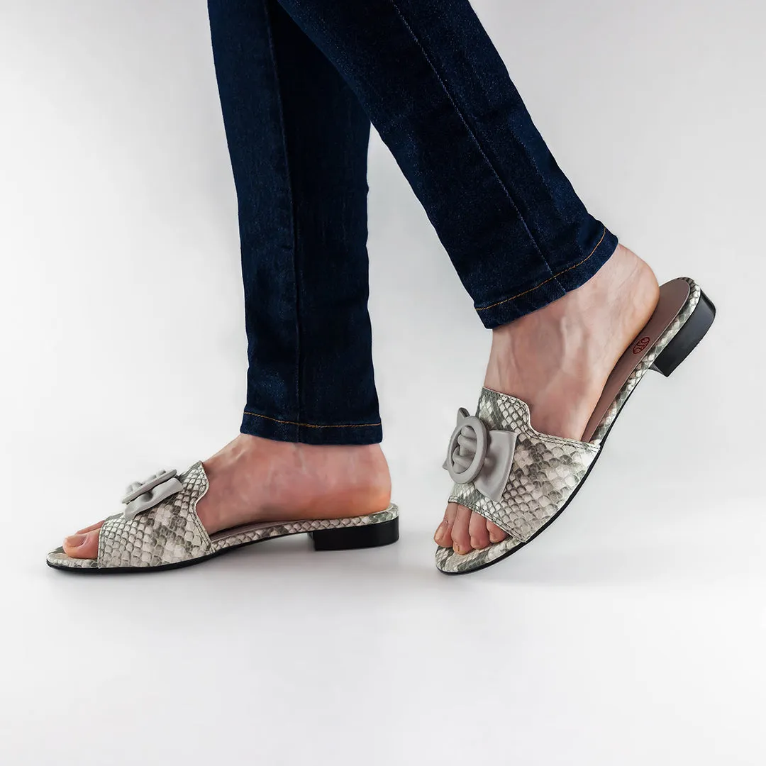 Oxfords And Dresses Walcott Ave, Women